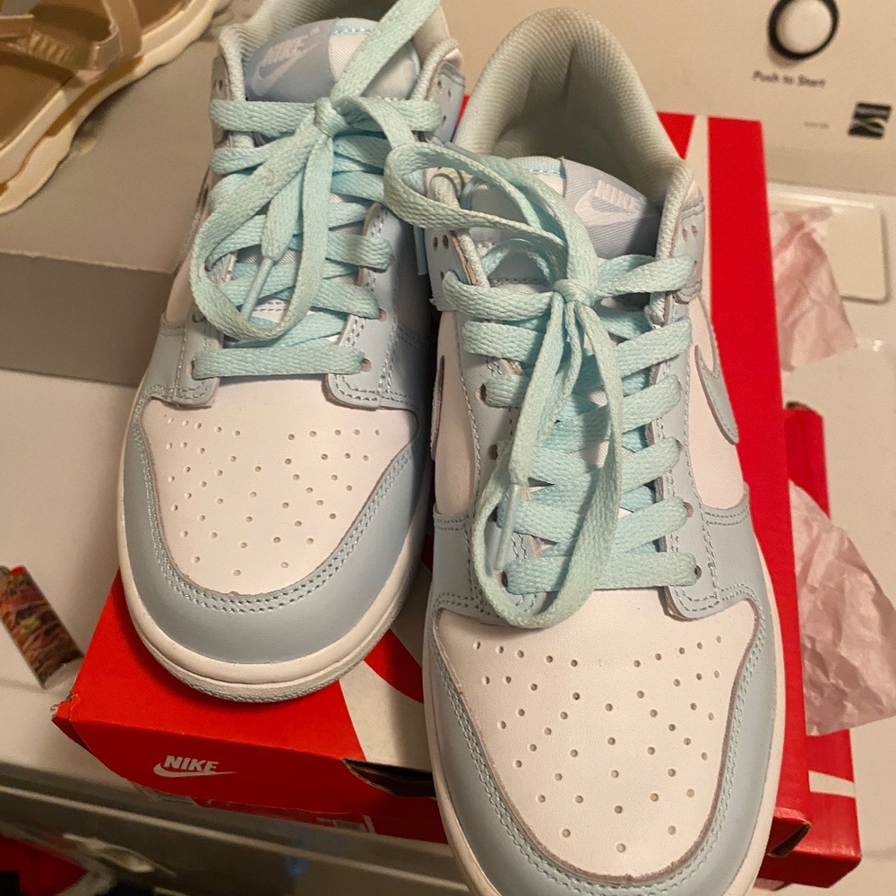 Next Nature SB Dunks